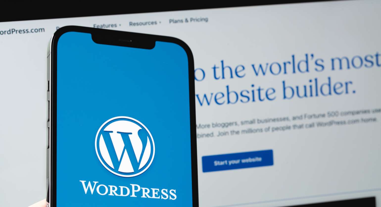 Should You Choose WordPress for Your Business Website?